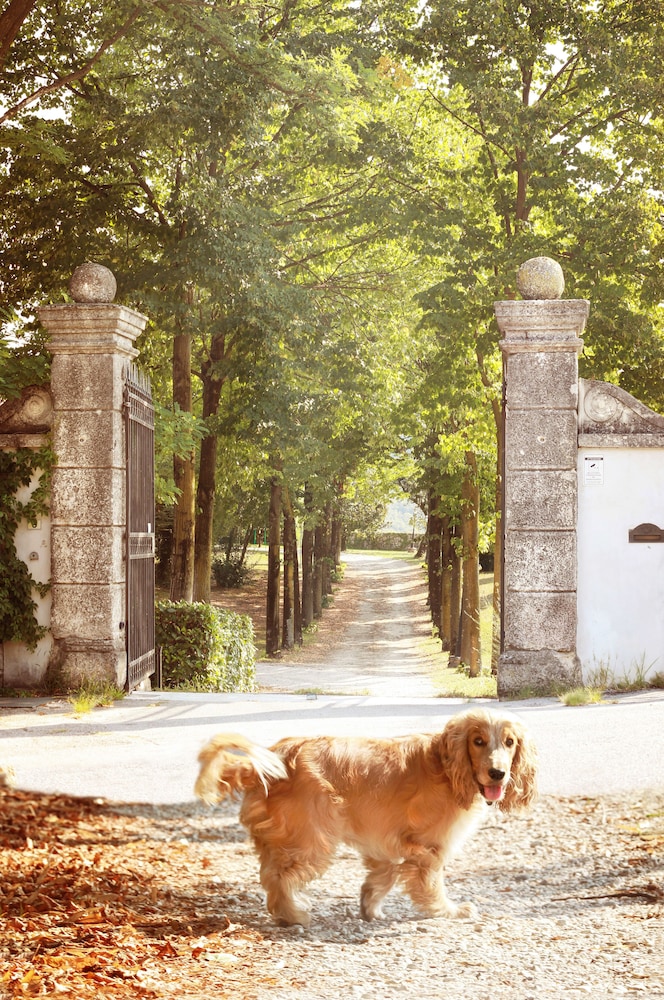 Relais Villa Gozzi B&B