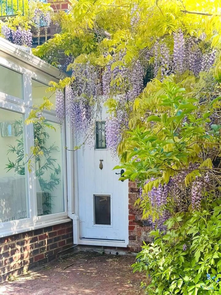 Coastal Haven Retreat in Eythorne