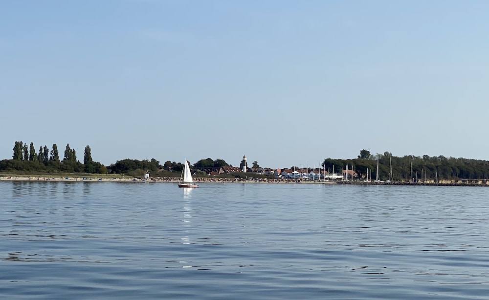 Ostseekrabbe