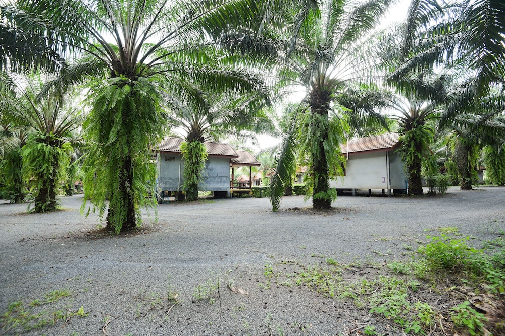 Palmsuay Resort