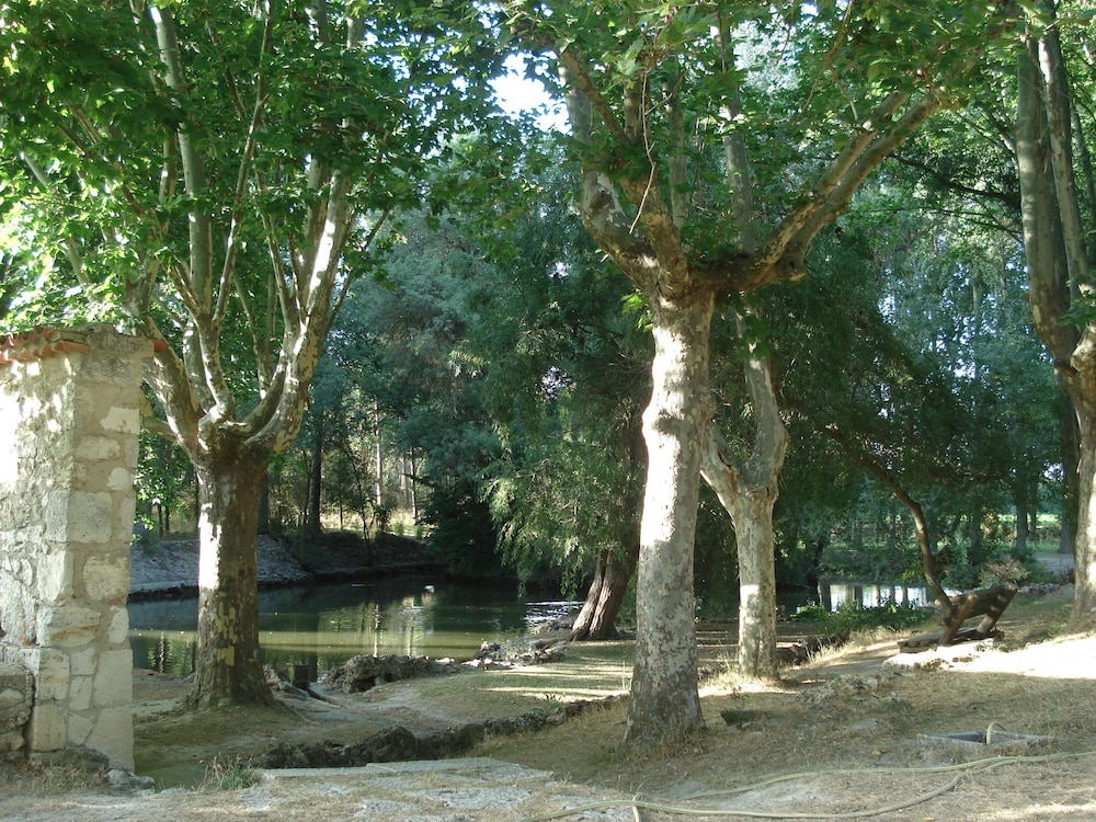 El Rincon del Labrador
