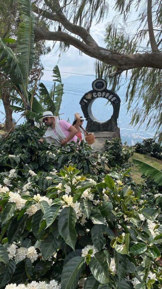 Don leandro Coffee farm Glamping