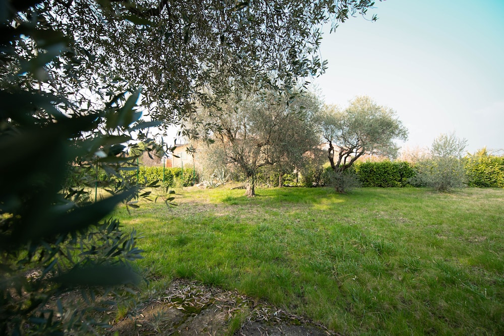 Photo 37