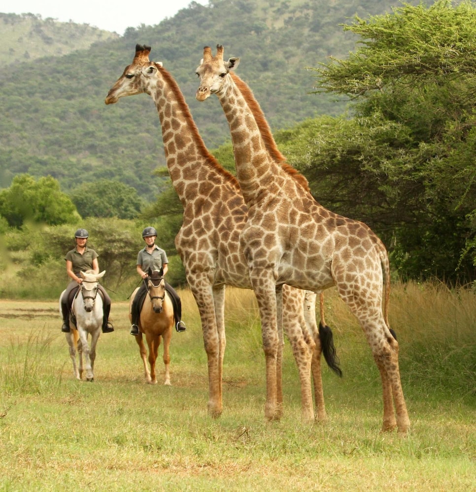 Pakamisa Private Game Reserve