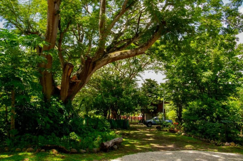 Rancho Costafalo