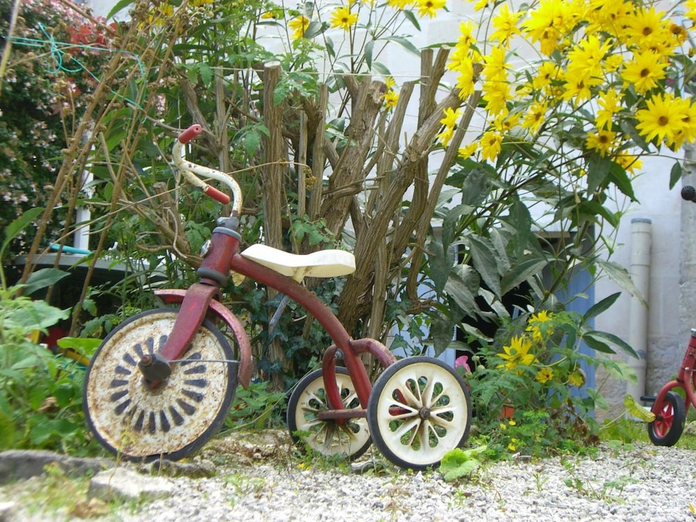 Photo 42