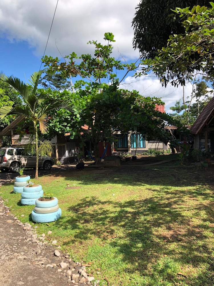 Photo 18