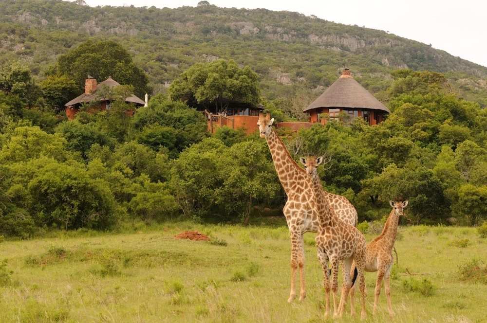 Leshiba Mountain Retreats