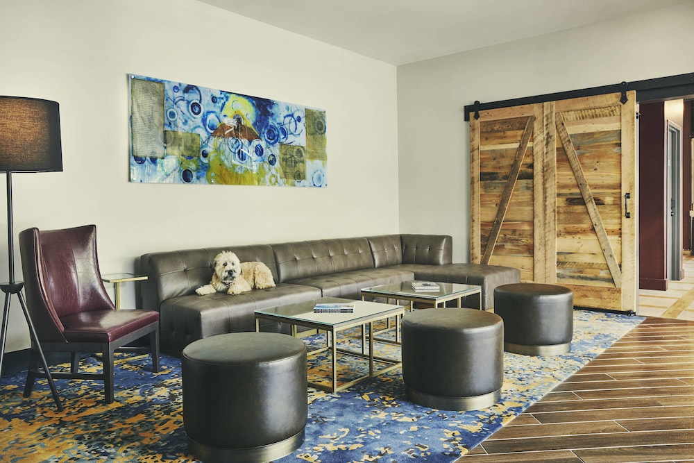 The Draftsman, Charlottesville, University, Autograph Collection Hotel