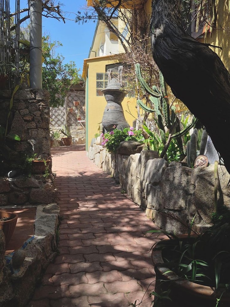 Photo 19