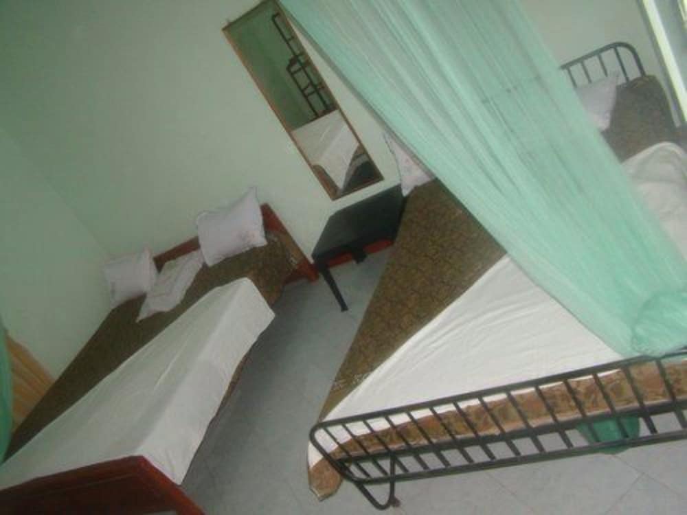 ALP Guest