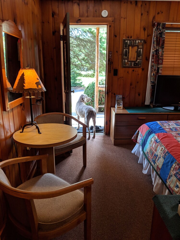 Pine Tree Motel & Cabins