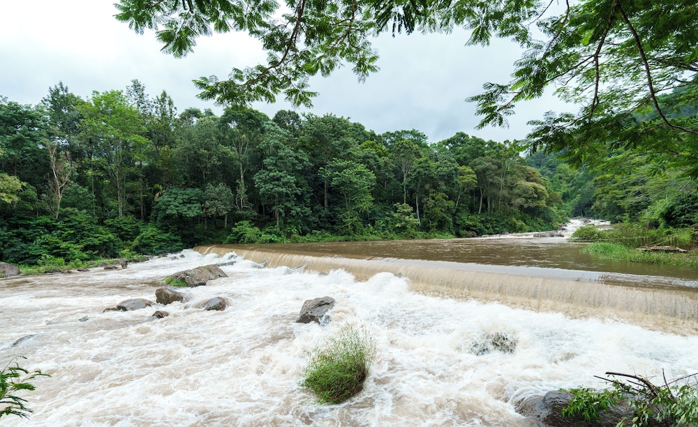 Rivulet