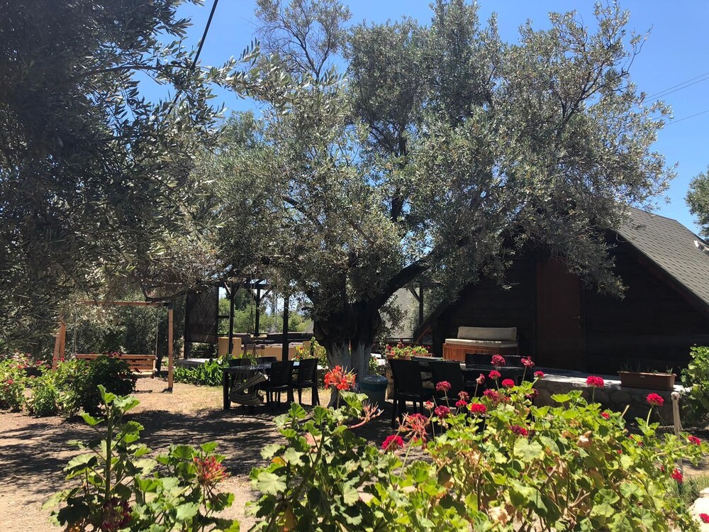 Photo 17