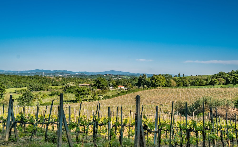Agriturismo Palazzo Bandino