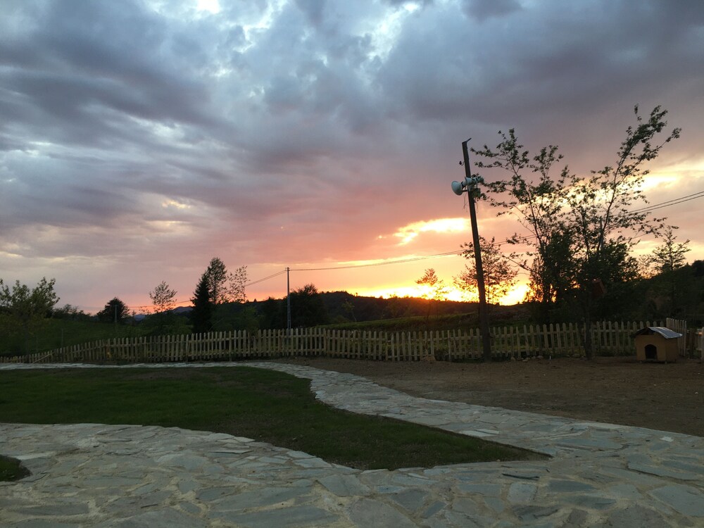 Photo 17