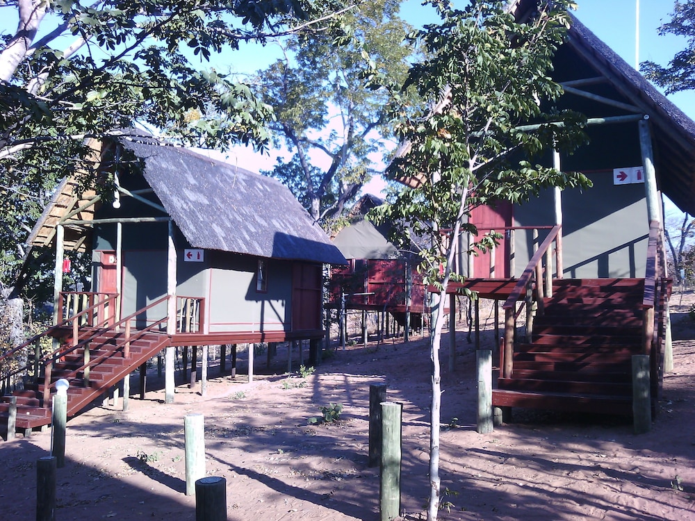 Lion Roars Lodge