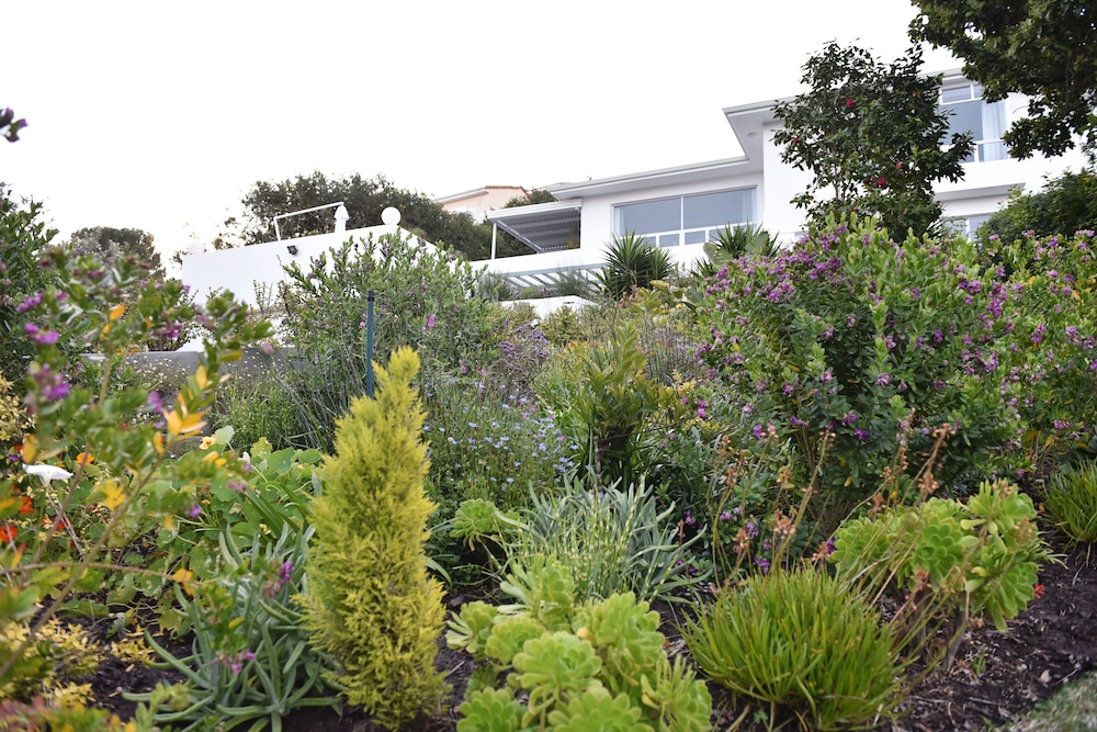 Vilacqua Boutique Guest Villa