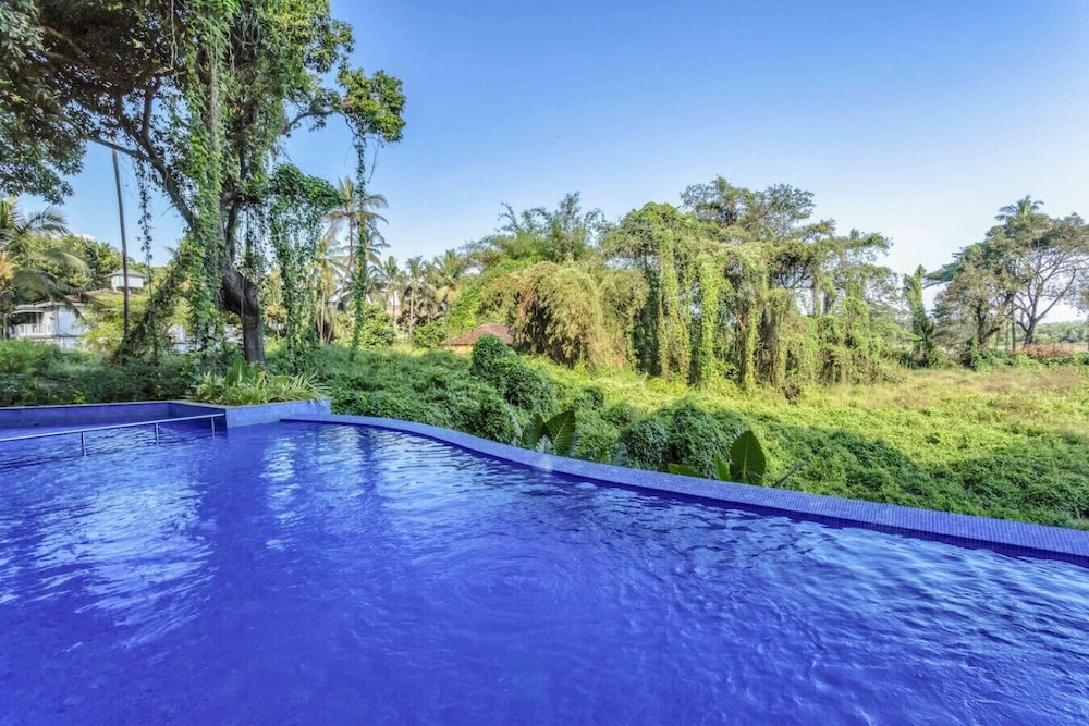 Serene Candolim 2bhk With Infinity Pool