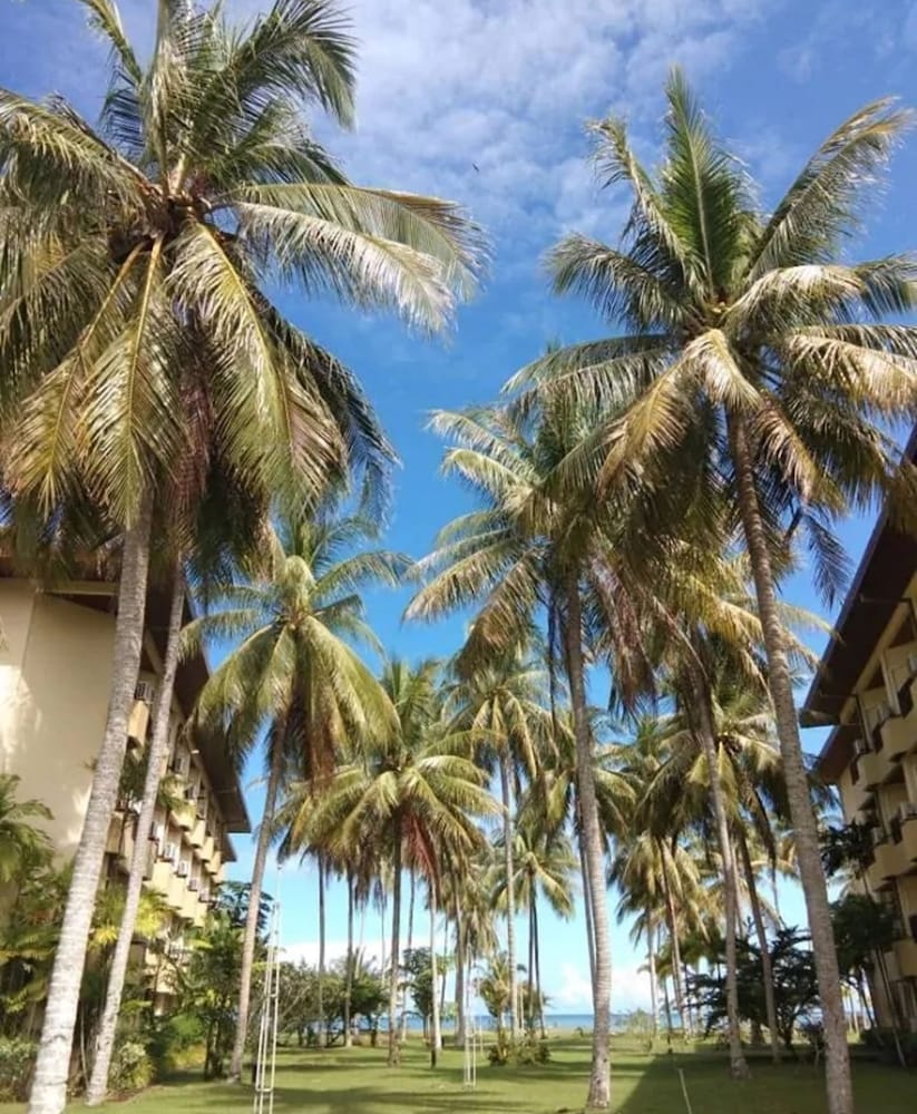 Palm Beach Resort & Spa photo 2