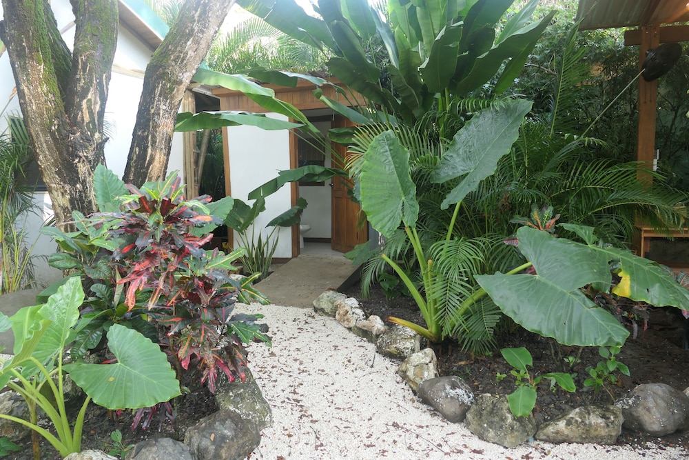 Dream Surf House Santa Teresa