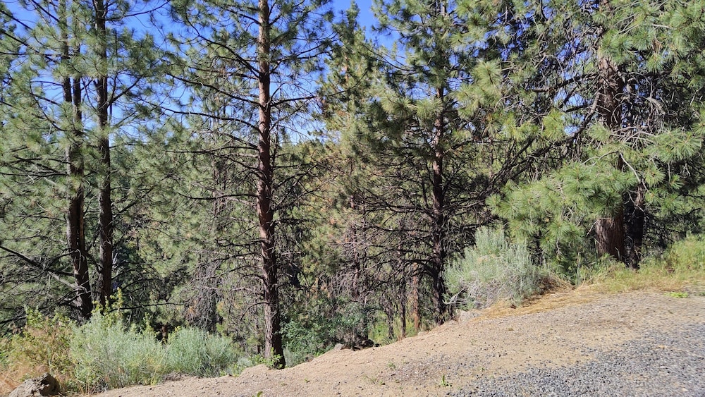7th Mtn 611c 1 Bedroom Condo