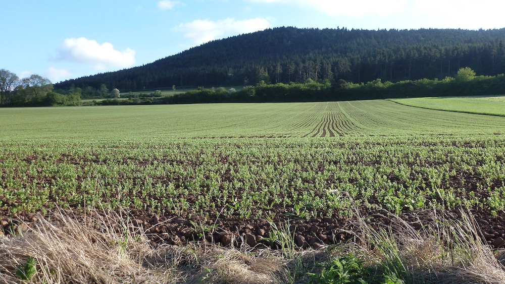 Le Gite du Velay