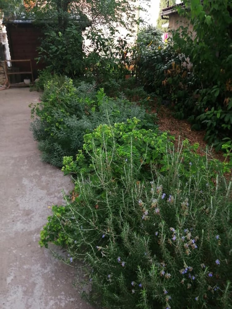 Photo 21