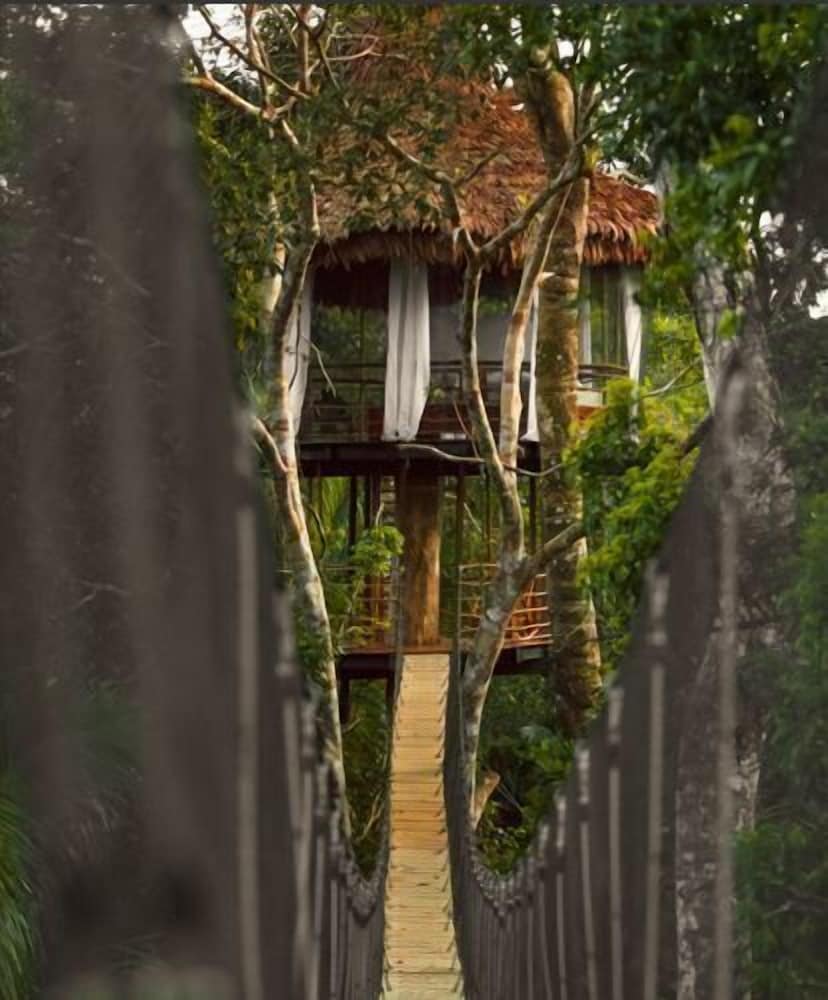 Treehouse Lodge