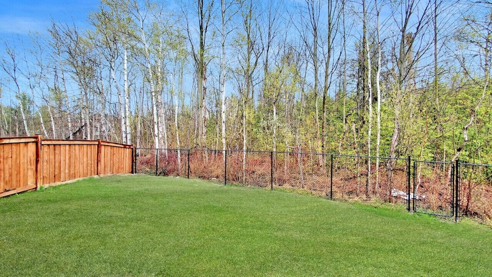Family Modern Walkout Basement w Sauna Ski Resort 30min