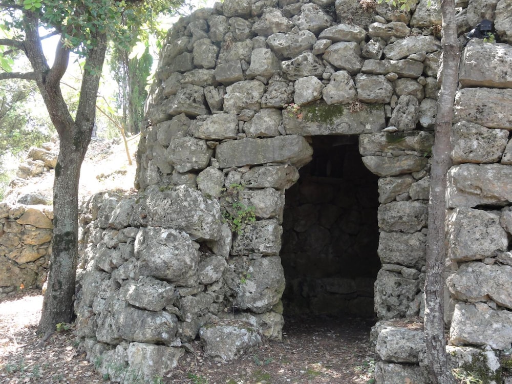 Photo 31