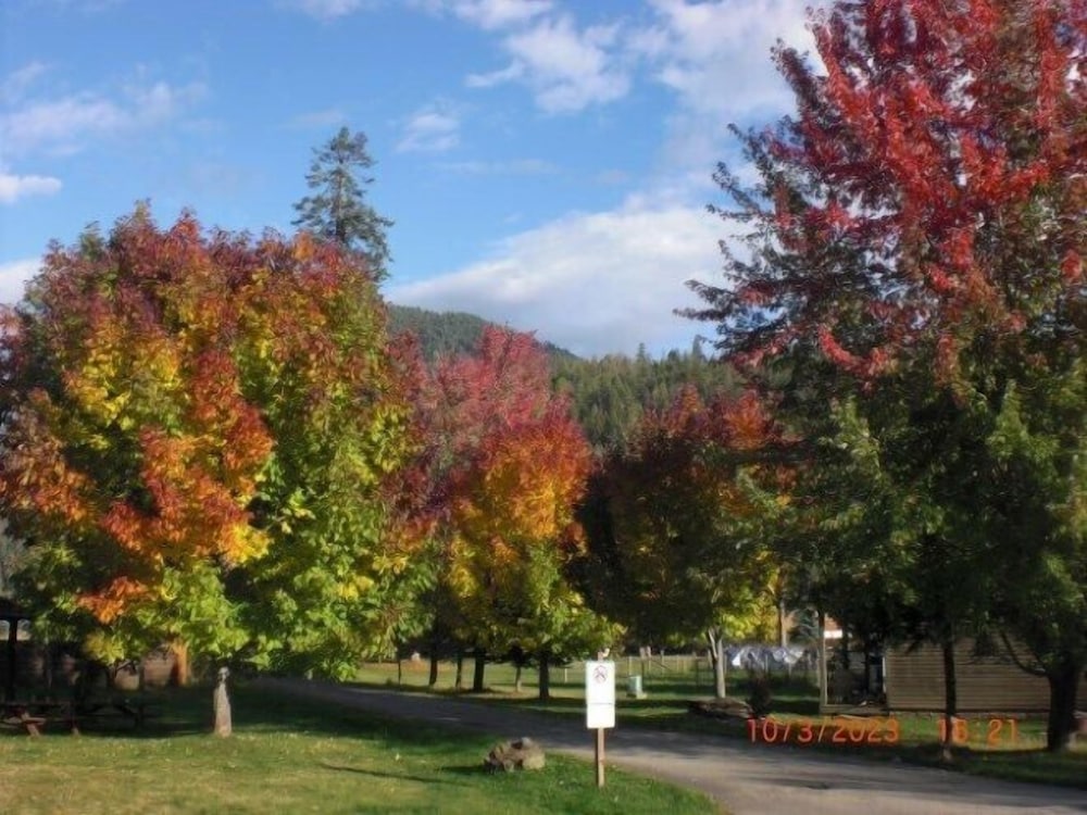 Clark Fork Lodge - Property Image 5