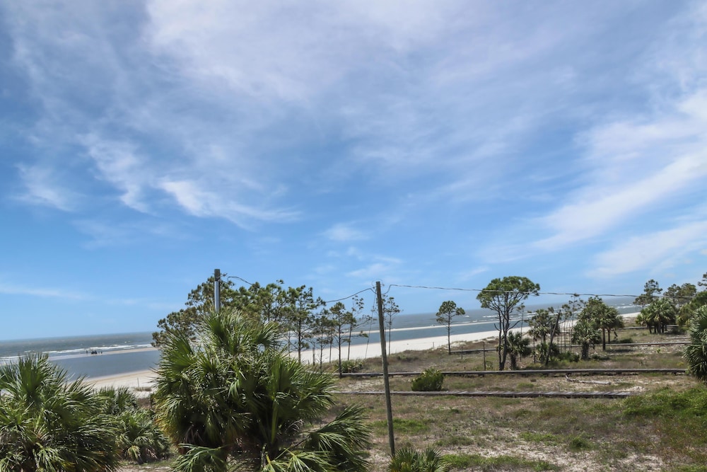 Palmetto Breeze