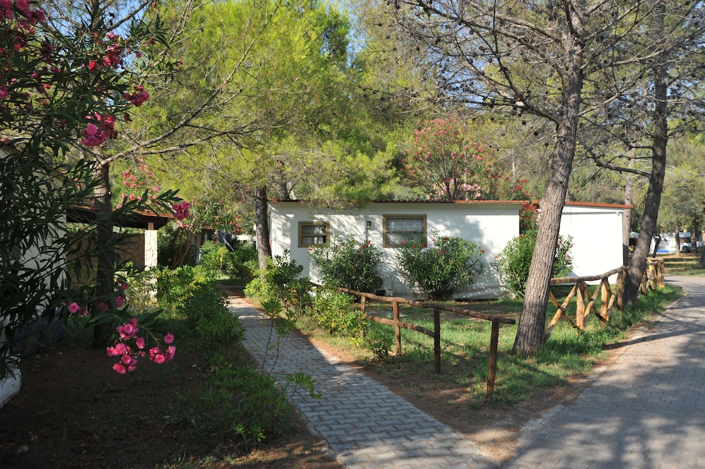 Villaggio Capo Vieste Camping photo 3