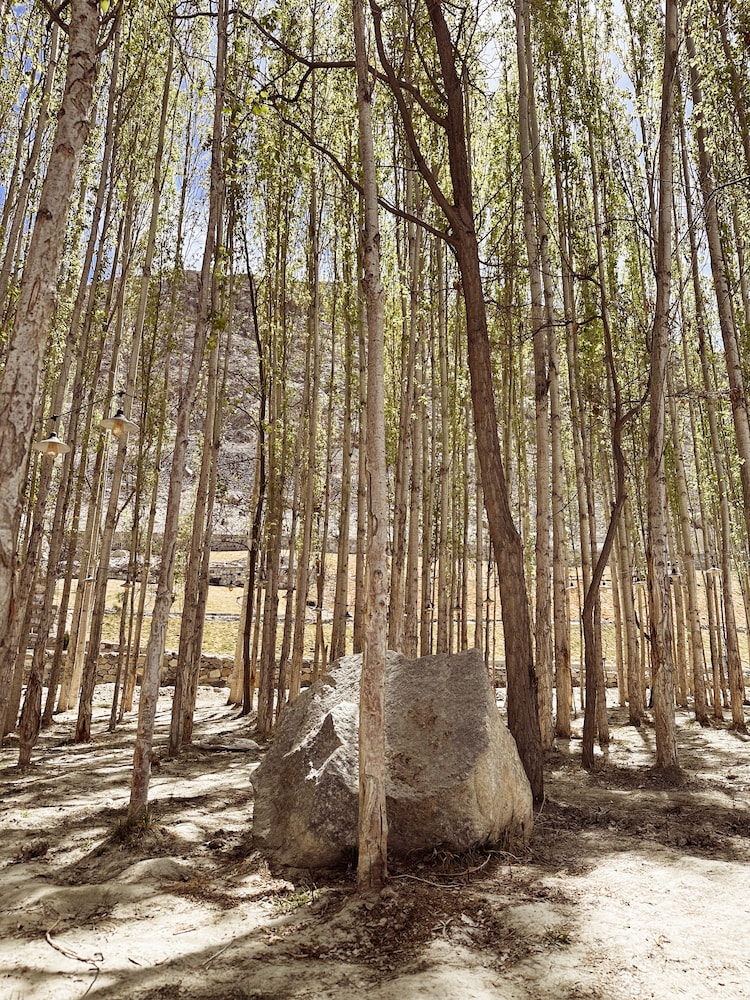 Photo 43