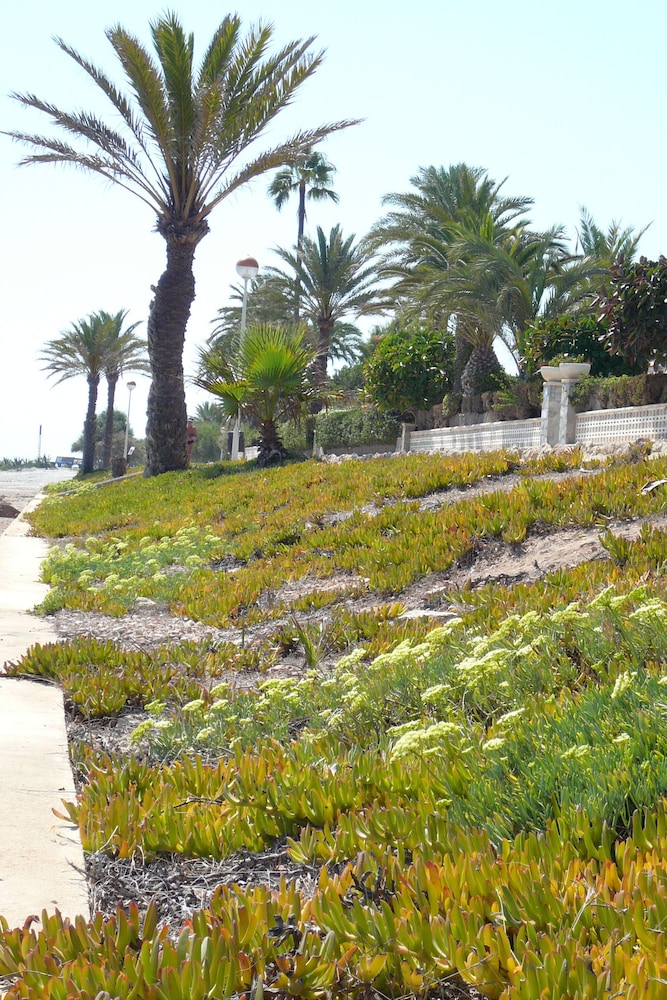Mediterranean Beach Apartment 180º Sea & Island View, Best Sta Pola Neighborhood photo 3