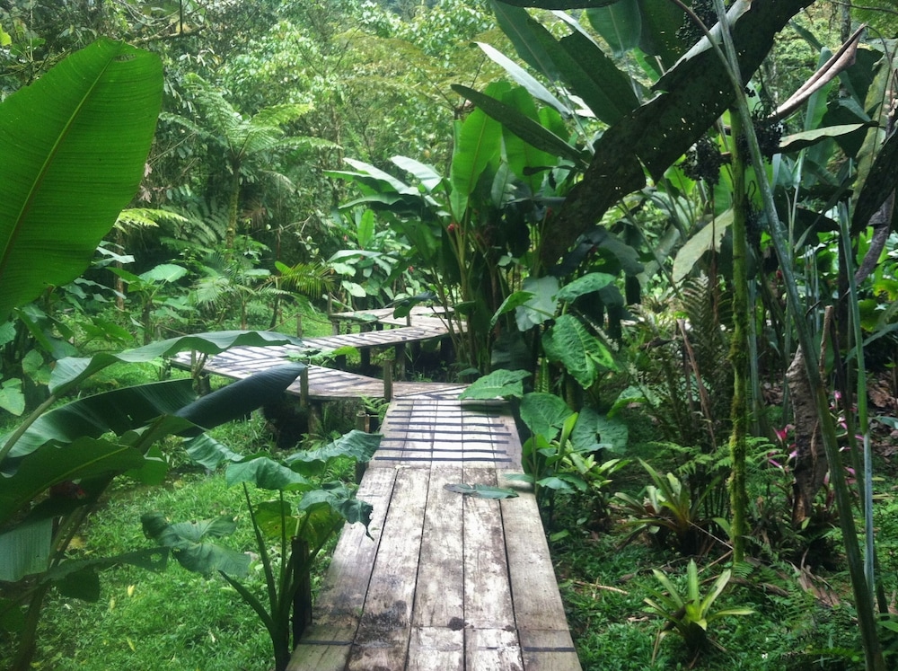 Mindo Garden Lodge
