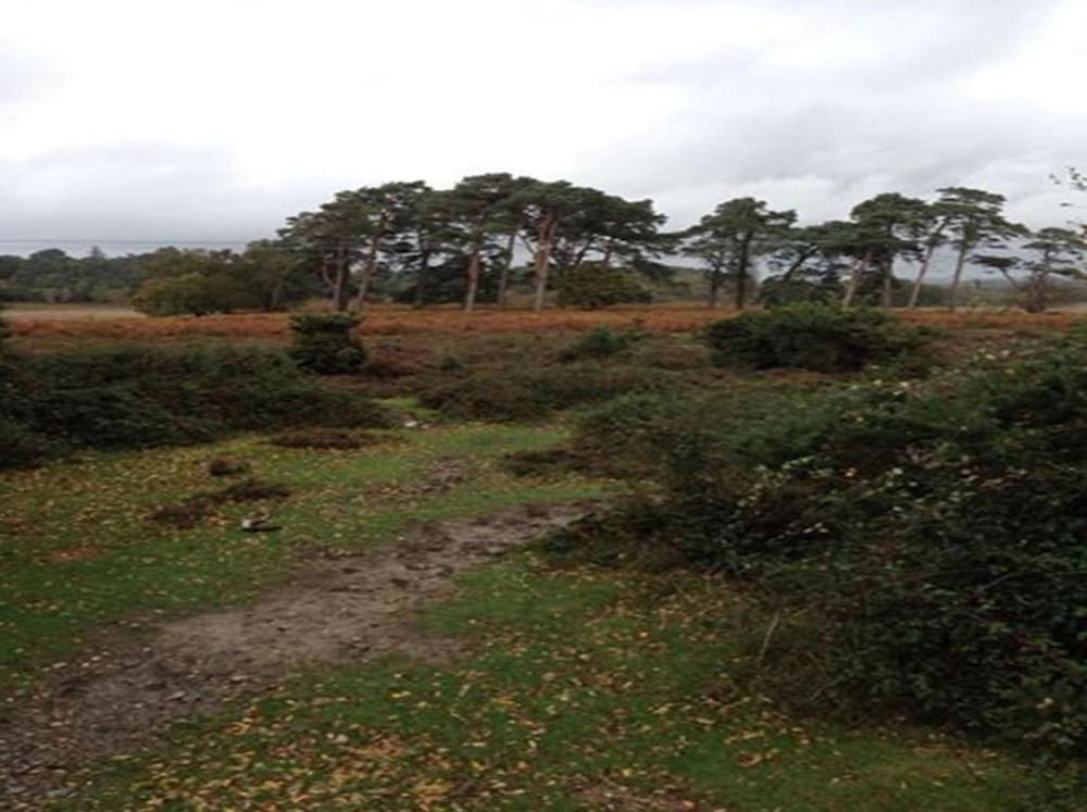Auplands