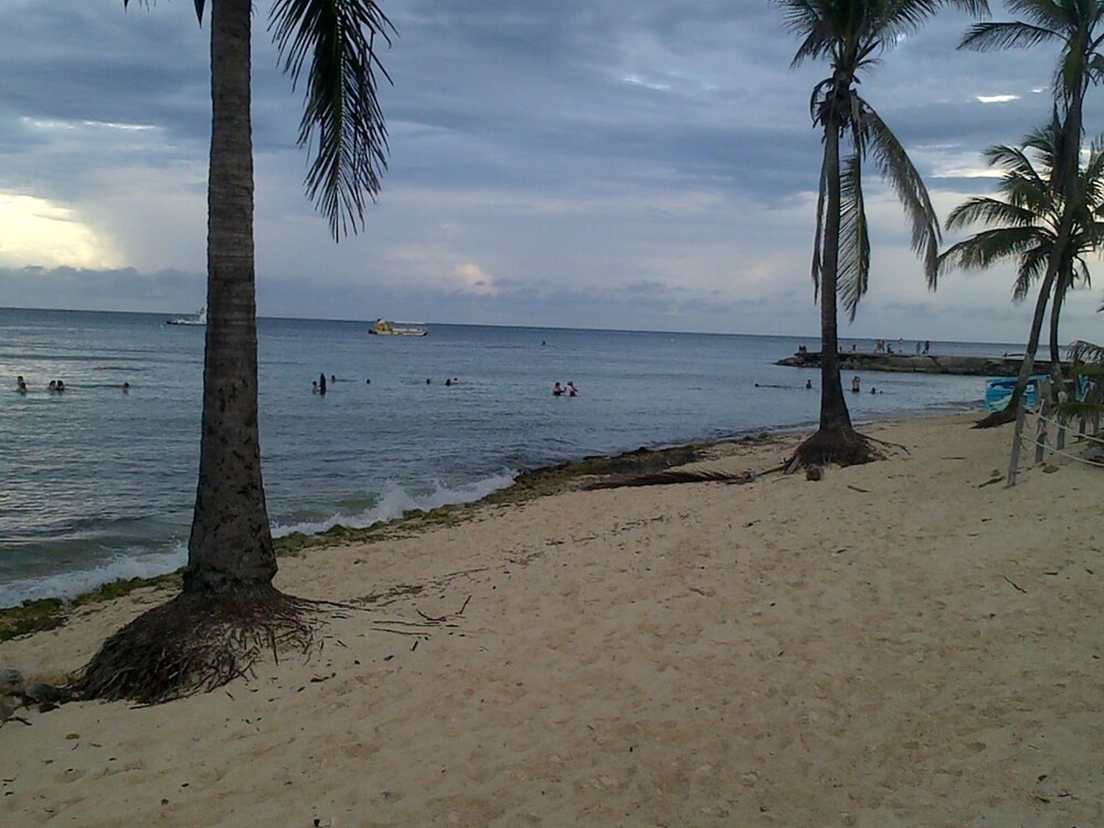 Photo 31