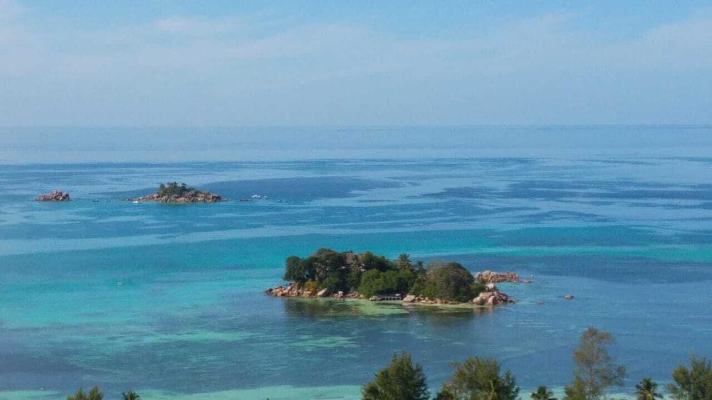 Mango Lodge