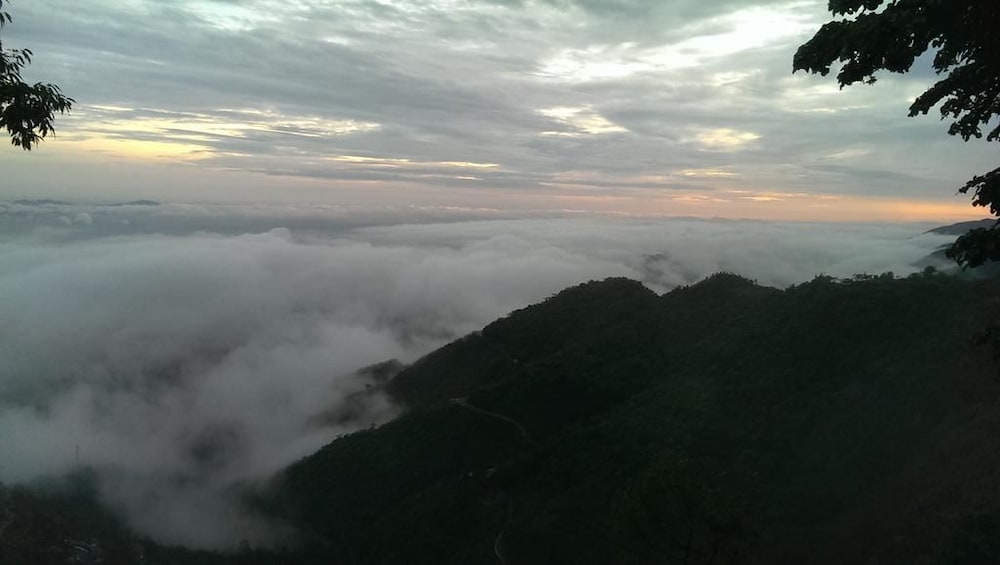 Jharipani Castle