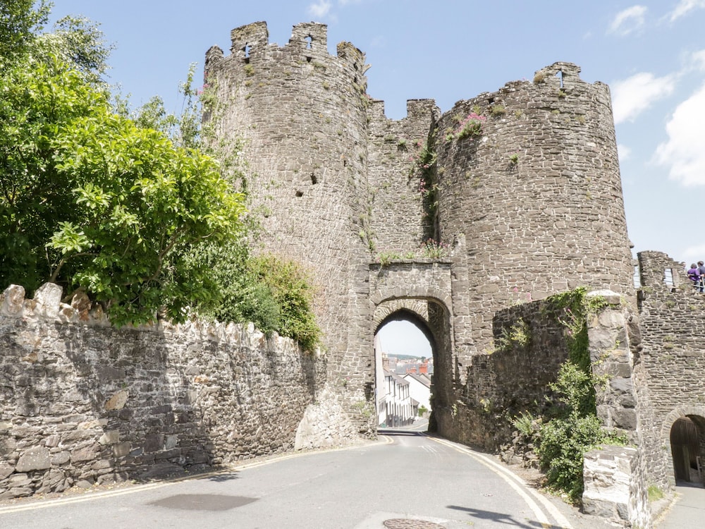 Gwyder