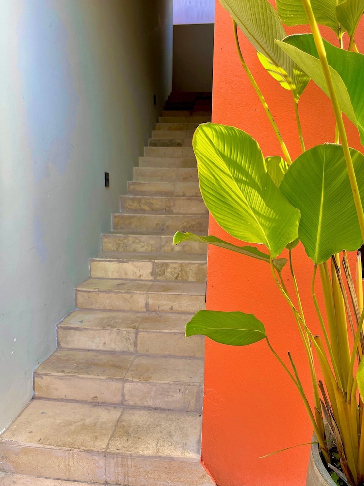Residencial Papagaios
