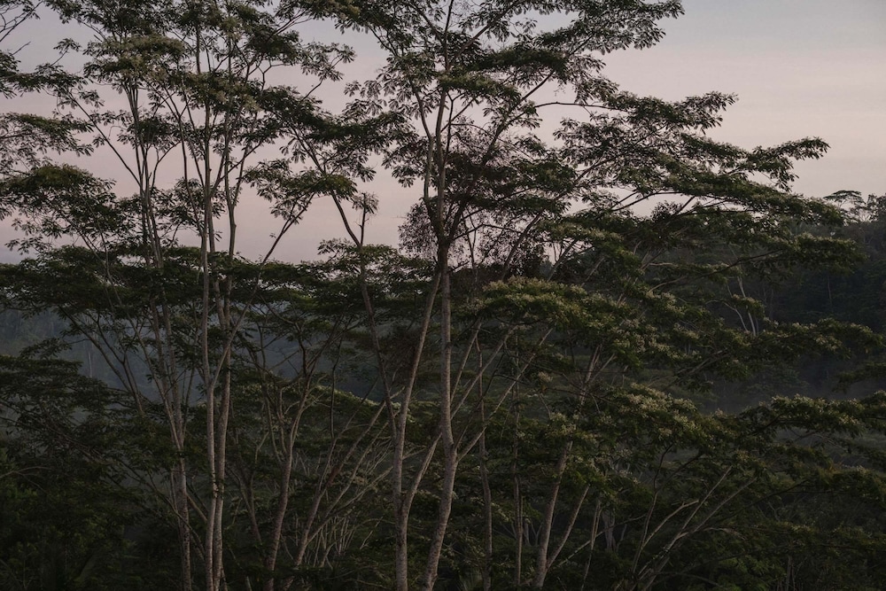 Belalu Bali Boutique & Spa Experience