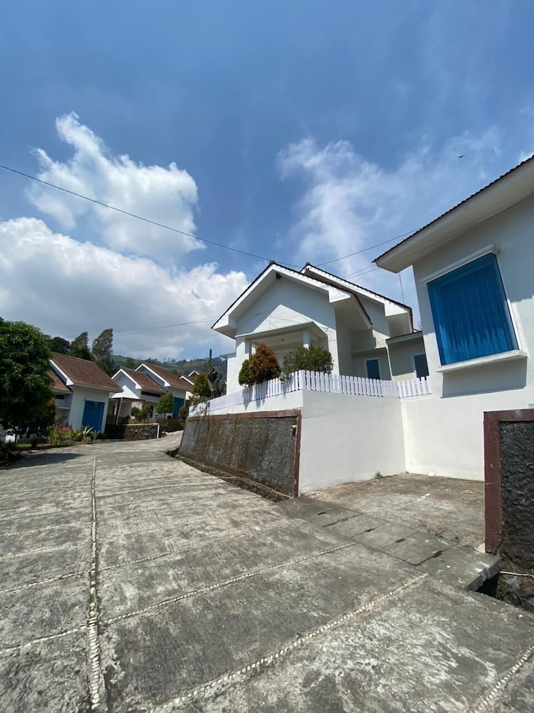 Villa Bromo Potato 2 view 2