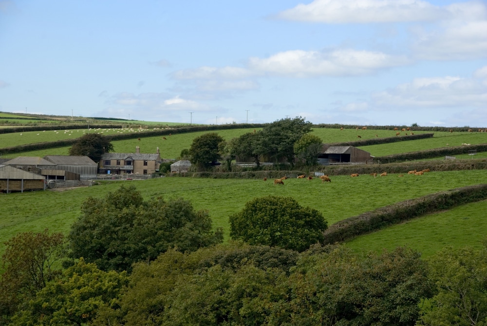 Tregondale Manor Farm