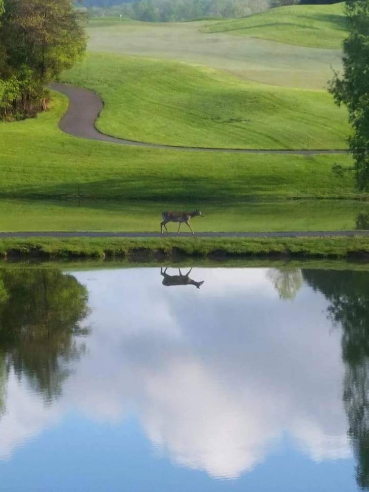 Woodlake Lodge Golf and Country Club view 2