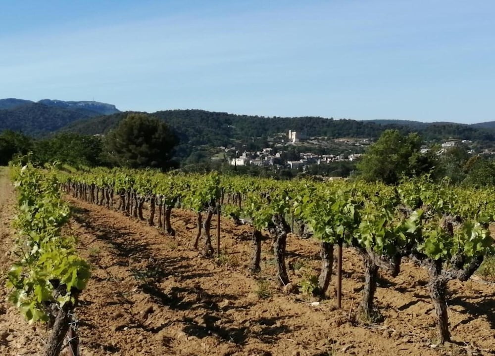 House in Vaison La Romaine With Heated Pool