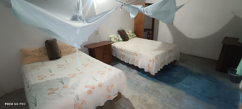 Cabañas Calakmul view 3