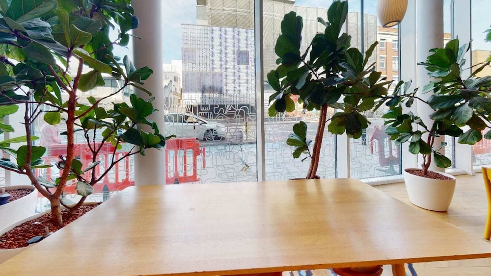 For Student Only Cosy Studios in the Central London